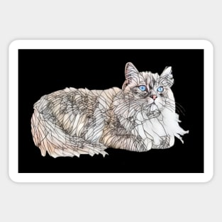 Seal Ragdoll Design - Floppy Cat Lovers Gift Sticker